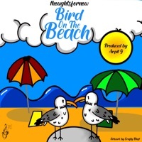 Thumbnail for the thoughtsfornow - Bird on the Beach link, provided by host site