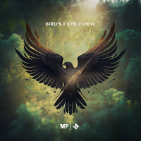 Thumbnail for the Matthew Parker - Bird's Eye View link, provided by host site