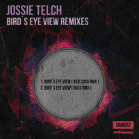 Thumbnail for the Ruls - Bird's Eye View - Ruls Remix link, provided by host site