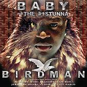 Thumbnail for the Birdman - Birdman link, provided by host site