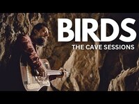 Thumbnail for the Sean Rowe - Birds - An Original Song link, provided by host site