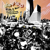 Thumbnail for the Beanfield - Birds & Bees link, provided by host site