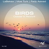 Thumbnail for the Labekaa - Birds (Ceasar K Rework) link, provided by host site