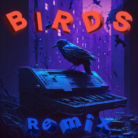 Thumbnail for the XL the Band - Birds (DJ Vadim Remix) link, provided by host site