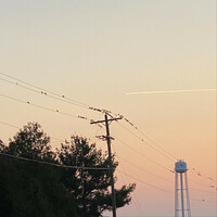Thumbnail for the Ashh - Birds in a Cage link, provided by host site