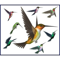 Thumbnail for the AzSwaye - Birds of a link, provided by host site