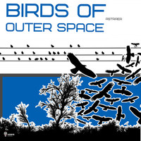 Thumbnail for the Astraer - Birds of Outer Space link, provided by host site
