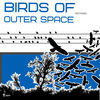 Thumbnail for the Astraer - Birds of Outer Space link, provided by host site