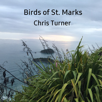 Thumbnail for the Chris Turner - Birds of St. Marks link, provided by host site