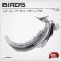 Thumbnail for the Moe Turk - Birds - Original Mix link, provided by host site
