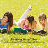 Thumbnail for the Reading and Studying Music - Birdsong Study Vibes: A Chill Soundscape for Enhanced Learning and Creativity link, provided by host site