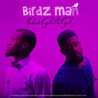 Thumbnail for the Nebula868 - Birdz Man link, provided by host site