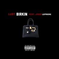 Thumbnail for the LUT - Birkin link, provided by host site