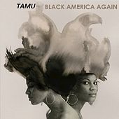 Thumbnail for the Tamu - Black America Again link, provided by host site