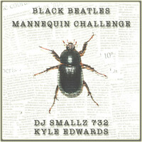 Thumbnail for the Kyle Edwards - Black Beatles (Mannequin Challenge) link, provided by host site