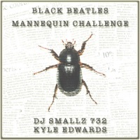 Thumbnail for the Kyle Edwards - Black Beatles (Mannequin Challenge) link, provided by host site