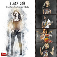 Thumbnail for the Sina - Black Dog link, provided by host site