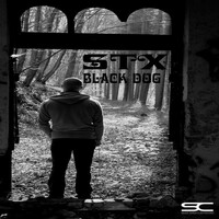 Thumbnail for the STX - Black Dog link, provided by host site