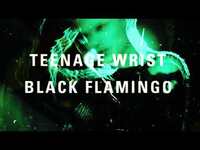 Thumbnail for the Teenage Wrist - "Black Flamingo" (Full Album Stream) link, provided by host site