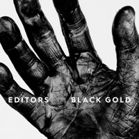 Thumbnail for the Editors - Black Gold: Best of Editors link, provided by host site