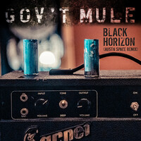 Thumbnail for the Gov't Mule - Black Horizon (Austn Space Remix) link, provided by host site