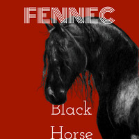 Thumbnail for the Fennec - Black Horse link, provided by host site