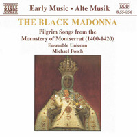 Thumbnail for the Anonymous  - Black Madonna link, provided by host site