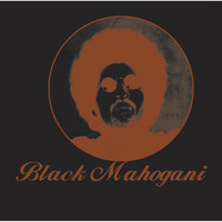 Thumbnail for the Moodymann - Black Mahogani link, provided by host site