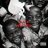 Thumbnail for the Hubbs - Black Privilege link, provided by host site
