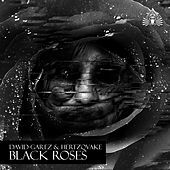 Thumbnail for the David Garez - Black Roses link, provided by host site