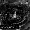 Thumbnail for the David Garez - Black Roses link, provided by host site