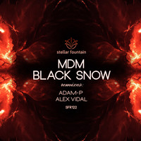 Thumbnail for the Adam-P - Black Snow - Adam-P Remix link, provided by host site