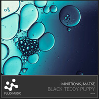 Thumbnail for the Matke - Black Teddy Puppy - Original Mix link, provided by host site