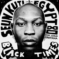 Thumbnail for the Seun Kuti - Black Times link, provided by host site