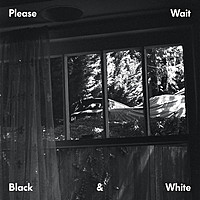 Thumbnail for the Please Wait - Black & White link, provided by host site