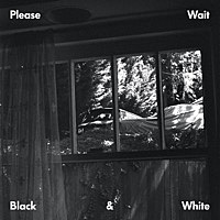 Thumbnail for the Please Wait - Black & White link, provided by host site