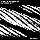 Thumbnail for the Spark Taberner - Blackbird link, provided by host site