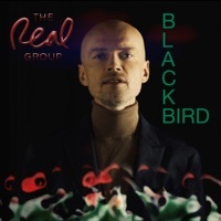 Thumbnail for the The Real Group - Blackbird link, provided by host site