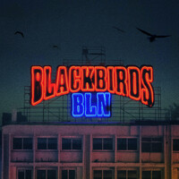 Thumbnail for the Peter Fox - Blackbirds BLN link, provided by host site