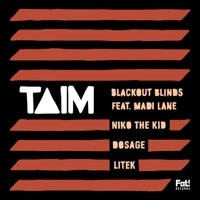 Thumbnail for the Taim - Blackout Blinds Remixes link, provided by host site
