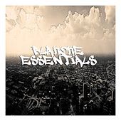 Thumbnail for the Blakoke - Blakoke Essentials link, provided by host site