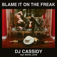 Thumbnail for the DJ Cassidy - Blame It On The Freak link, provided by host site