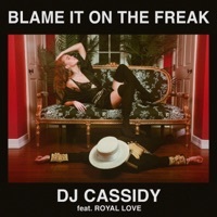 Thumbnail for the DJ Cassidy - Blame It On The Freak link, provided by host site