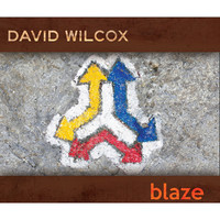 Thumbnail for the David Wilcox - Blaze link, provided by host site