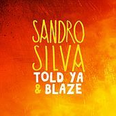 Thumbnail for the Sandro Silva - Blaze link, provided by host site