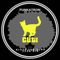 Thumbnail for the Funkatron - Bless the Funk (2020 Mix) link, provided by host site