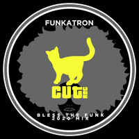 Thumbnail for the Funkatron - Bless the Funk (2020 Mix) link, provided by host site