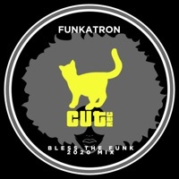 Thumbnail for the Funkatron - Bless the Funk (2020 Mix) link, provided by host site
