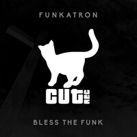 Thumbnail for the Funkatron - Bless the Funk link, provided by host site