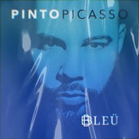Thumbnail for the Pinto Picasso - Bleu link, provided by host site